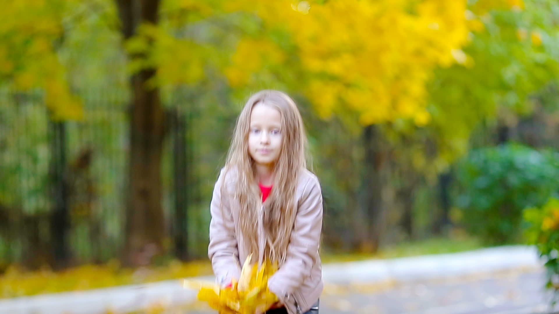 可爱的小女孩户外美丽的秋天美丽的秋天玩叶子视频的预览图