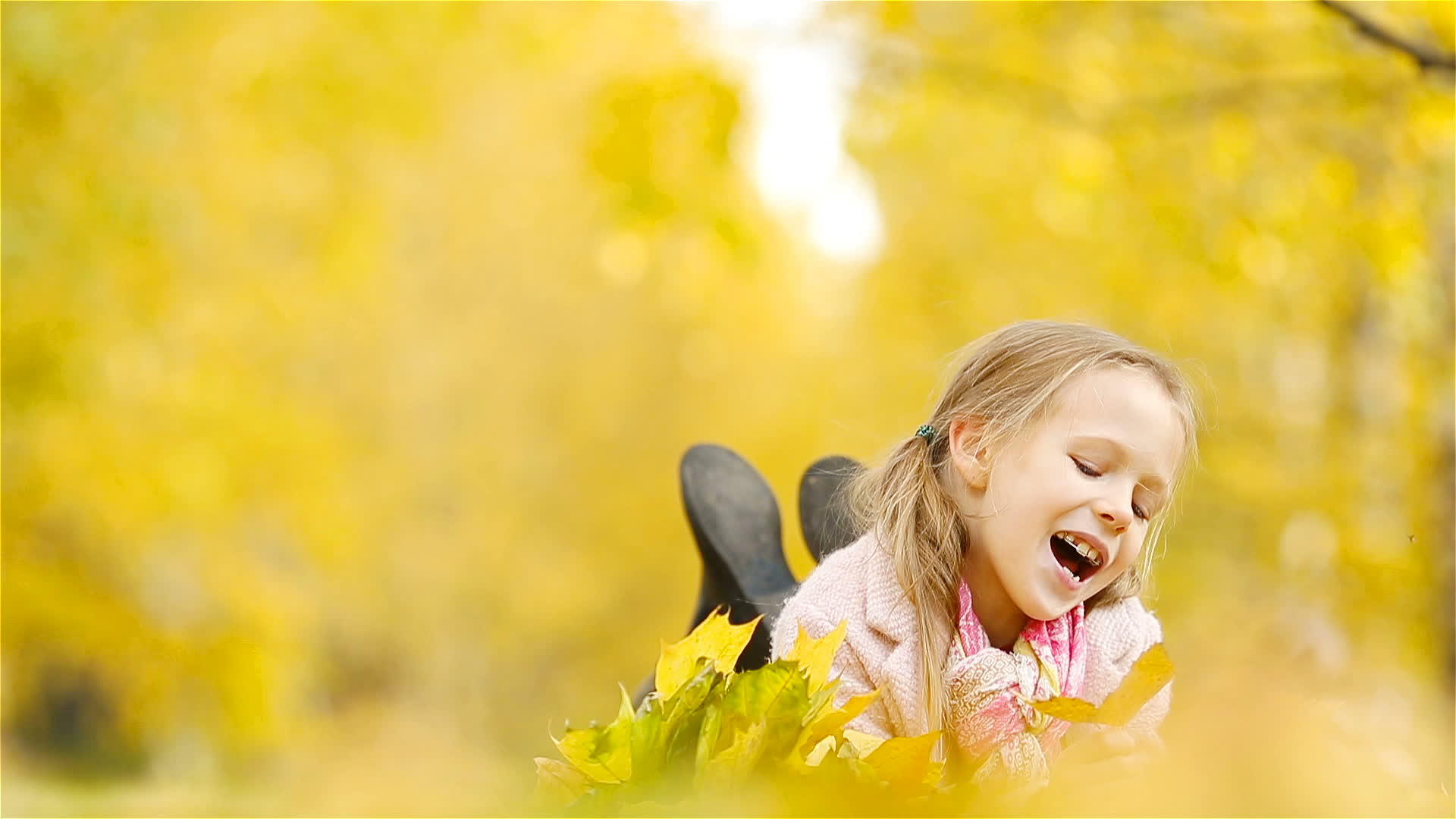 可爱的小女孩在秋天的黄叶花束里视频的预览图