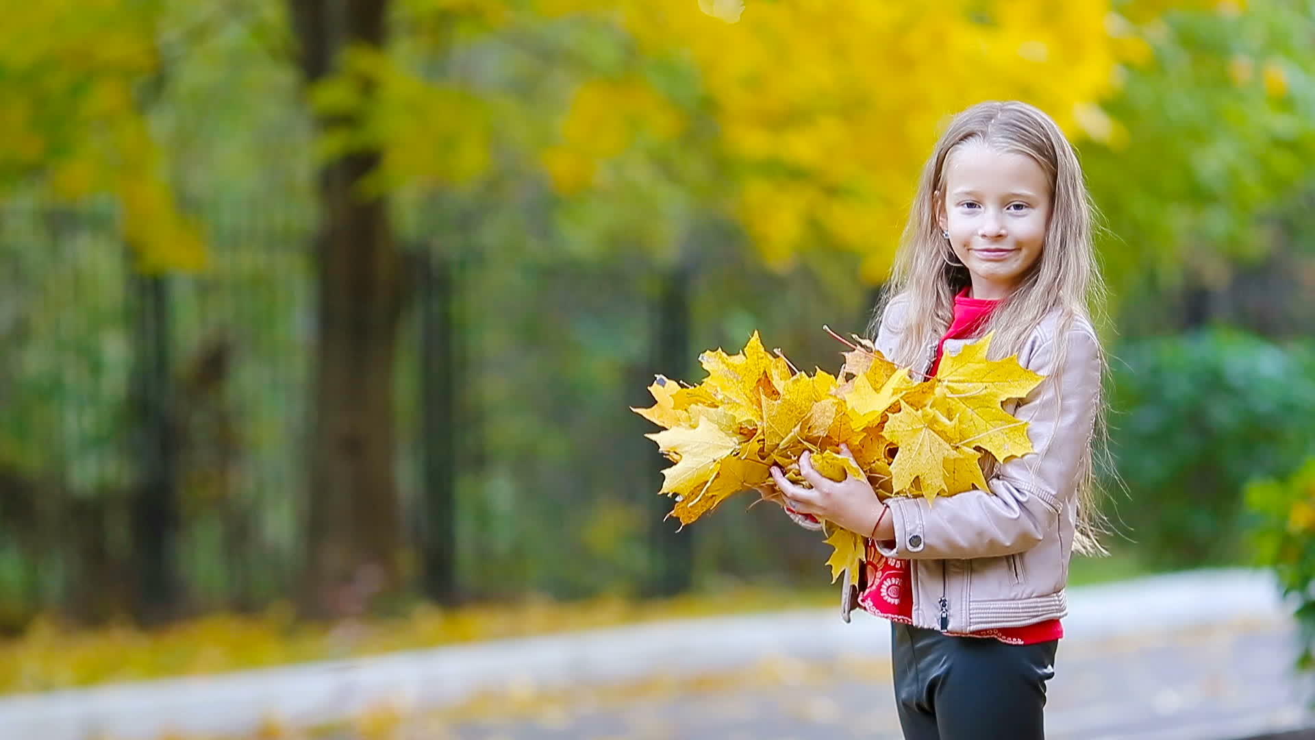 可爱的小女孩在美丽的秋天公园的户外叶子里带着黄色的木瓜视频的预览图