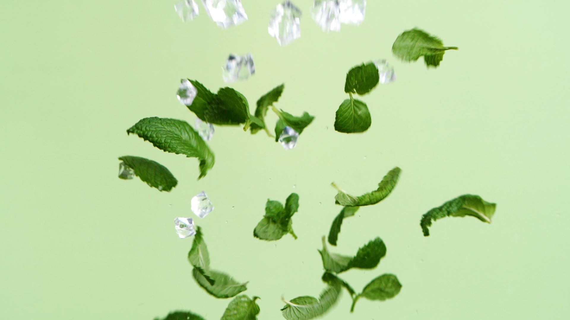 升格薄荷薄荷叶夏季清凉绿色植物视频的预览图