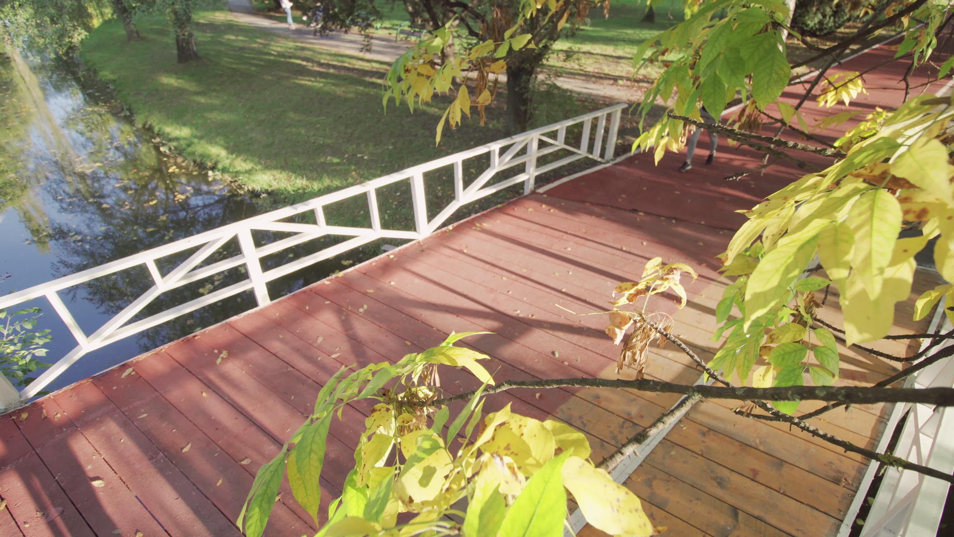 在公园的木桥上表面在公园的木桥上运行视频的预览图