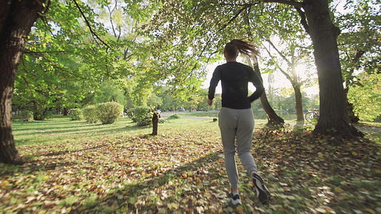 健身女孩在公园湖附近的草地上跑动全身中弹视频的预览图