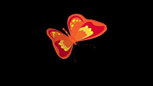 三维蝴蝶动画视频的预览图