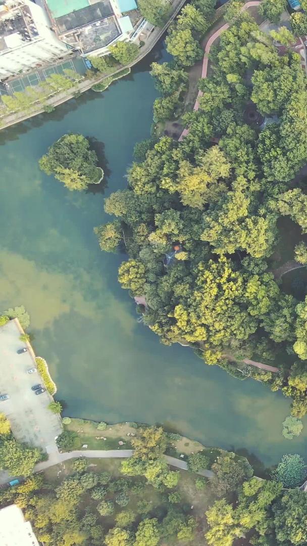春季中心公园航拍风景城市绿色园林景观素材视频的预览图