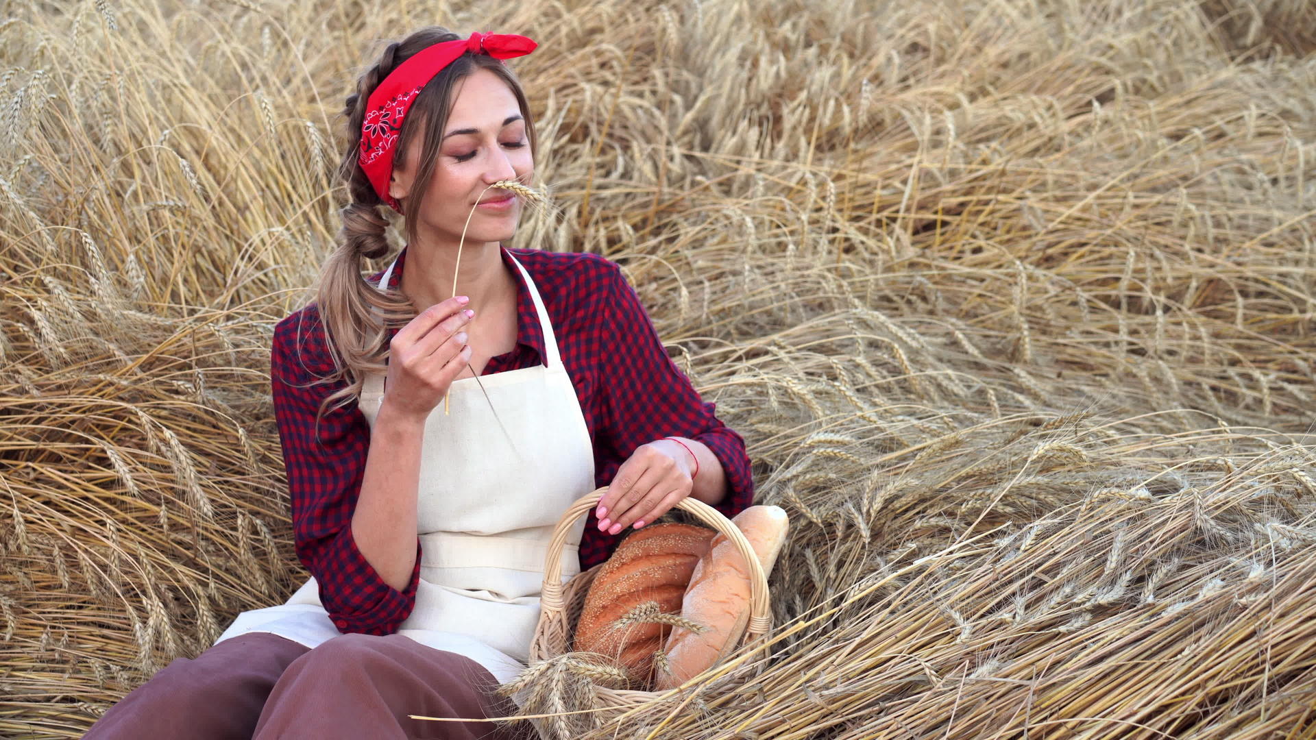 女农坐在小麦农田里拿着柳条篮子视频的预览图