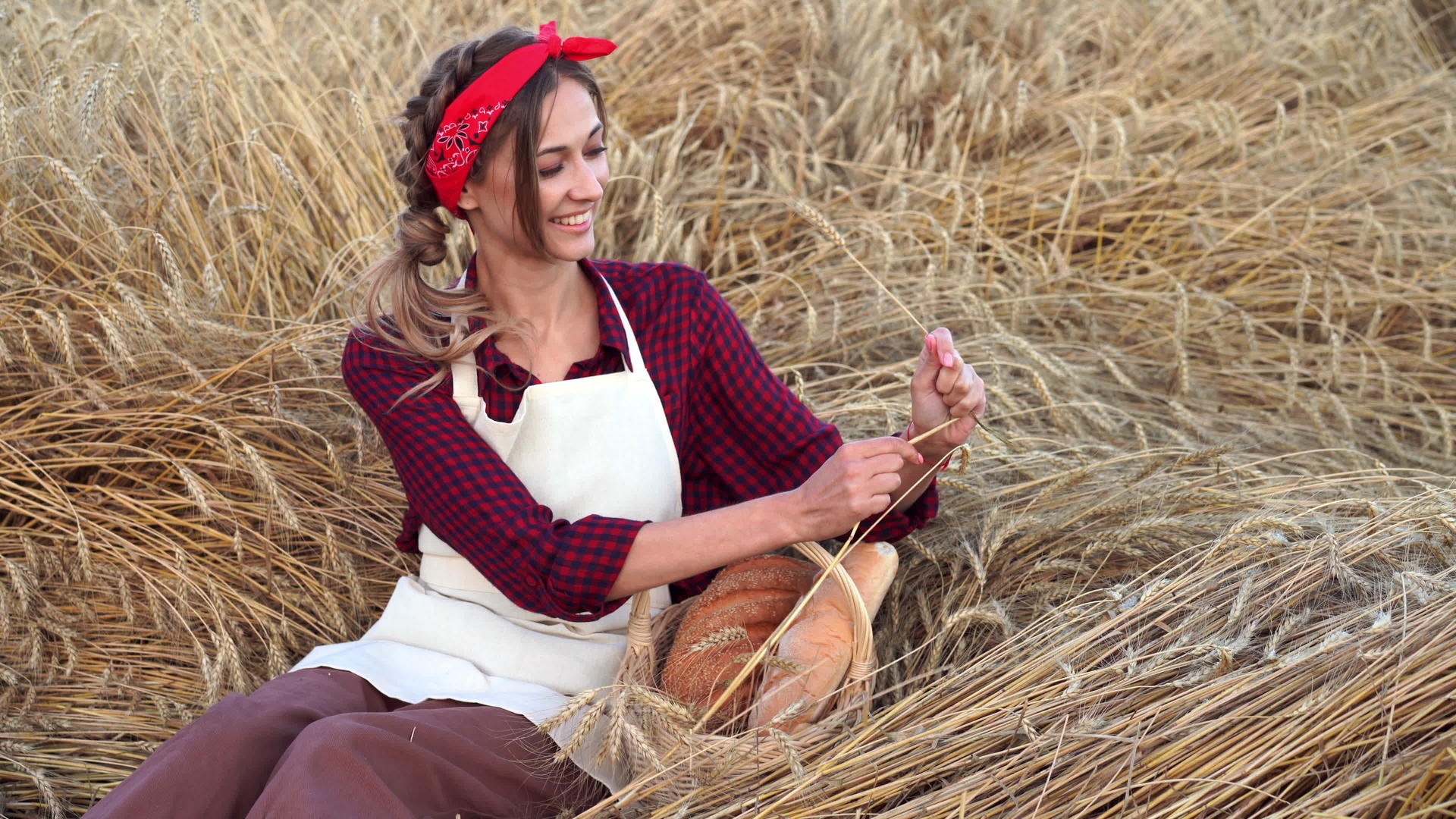 从事小麦农业田地面包行业的女性面包师有维杰篮子面包视频的预览图