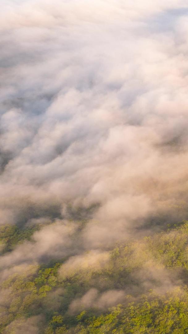 鳌山瀑布云视频的预览图