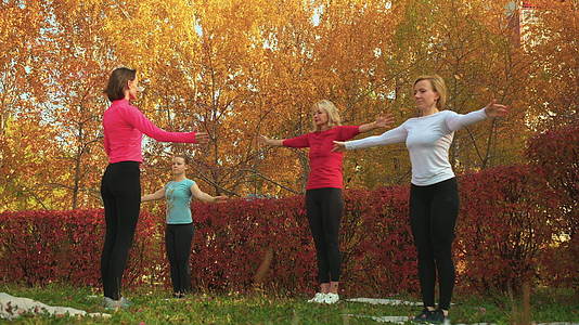 女性团体在秋季公园练习瑜伽和放松女性在户外锻炼和训练视频的预览图