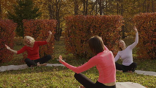 女性团体在秋季公园练习冥想瑜伽在公园户外锻炼视频的预览图