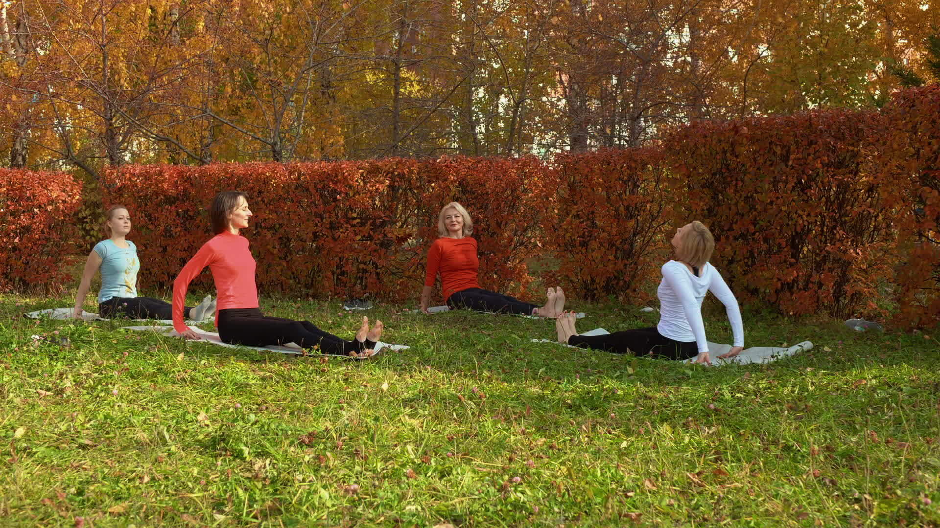 秋季公园瑜伽地毯上的女性团体训练和伸展运动视频的预览图