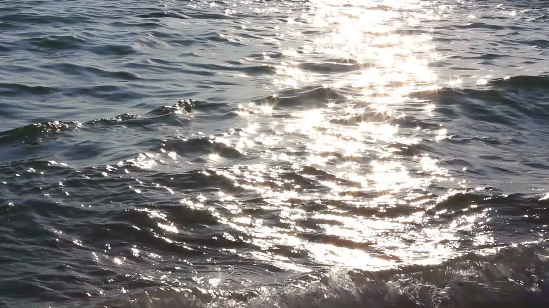 海3视频的预览图