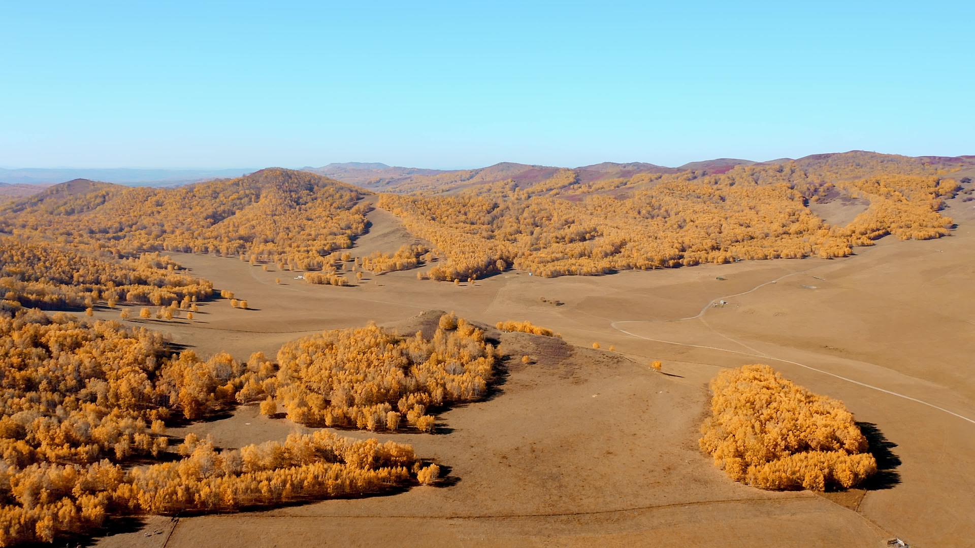 4K航拍大气乌兰布统坝草原秋季风景视频的预览图