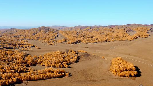 4K航拍大气乌兰布统坝草原秋季风景视频的预览图