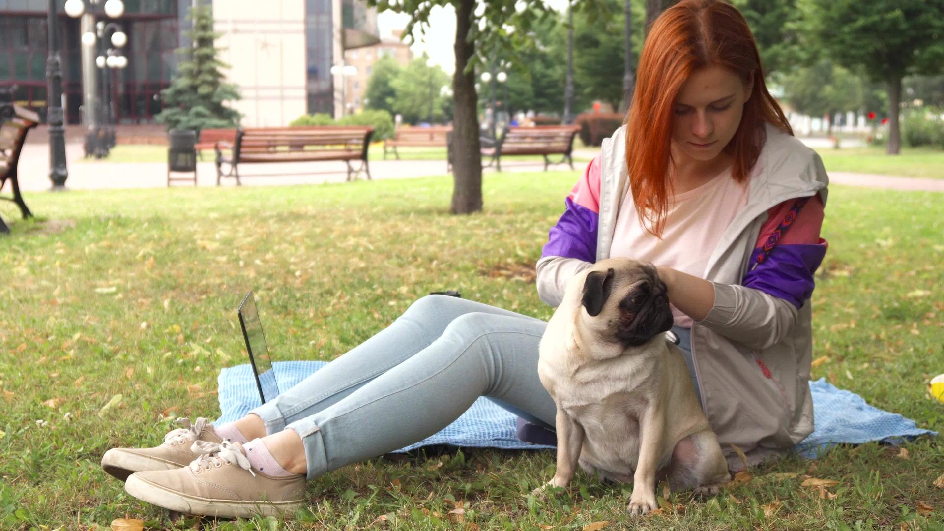 女孩在公园里梳她的小狗视频的预览图