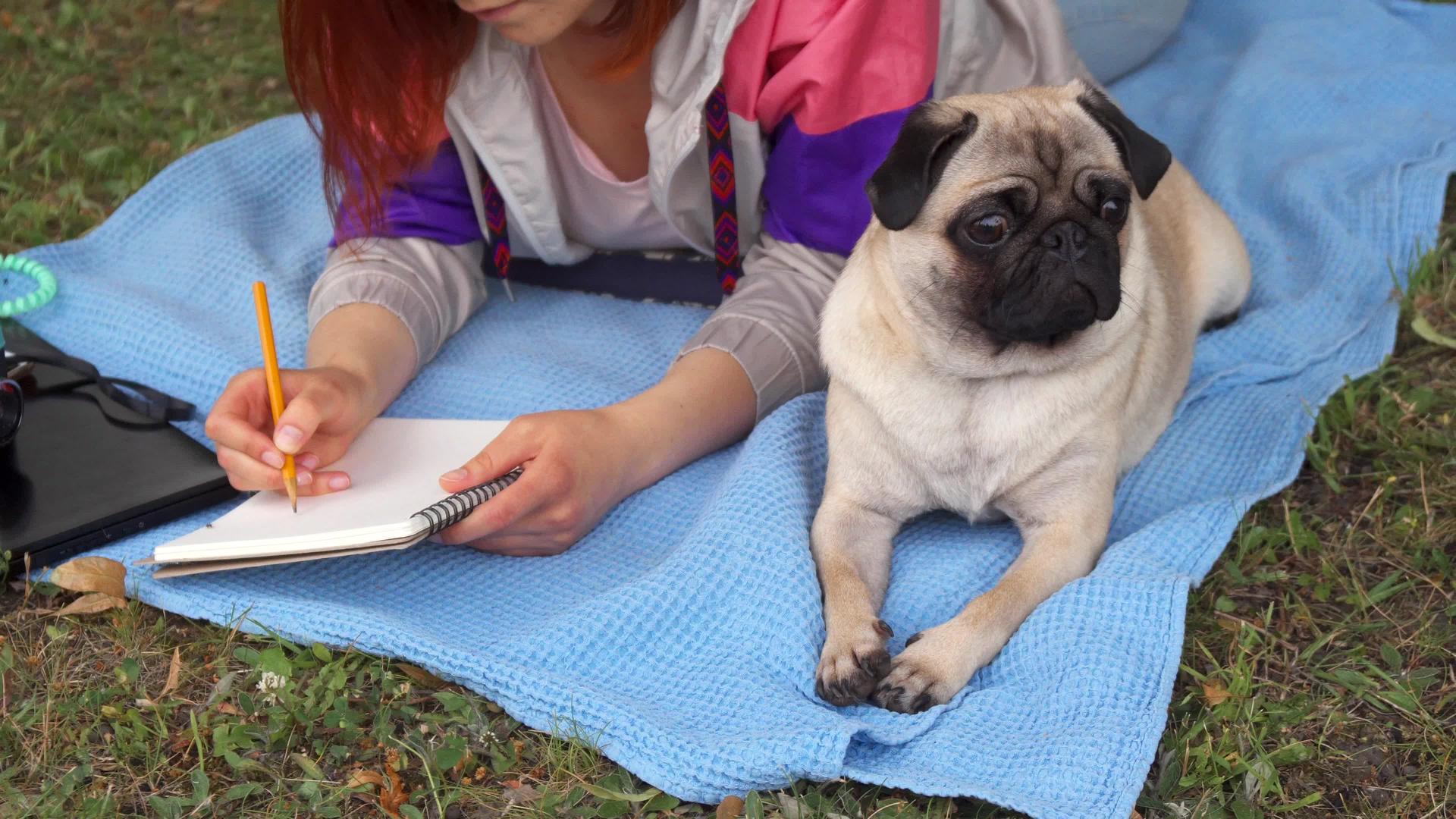 女孩躺在草坪上她的狗躺在她旁边视频的预览图
