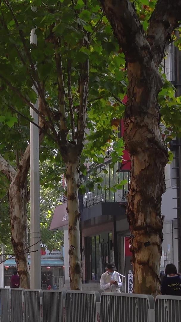 在城市街道旁修剪树枝的园林工人素材视频的预览图