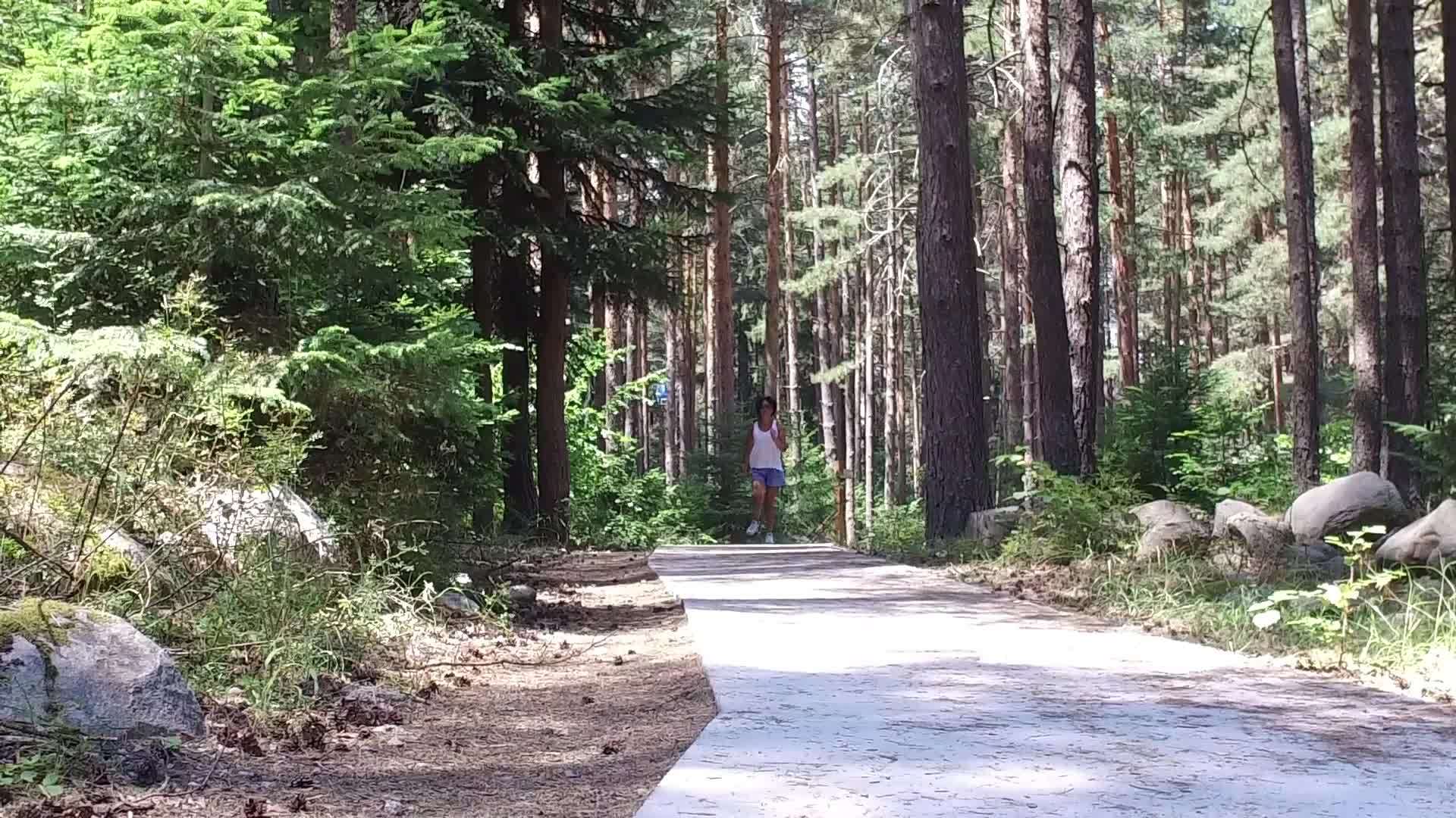 女跑步者在优胜美地国家公园的森林小路上慢跑视频的预览图
