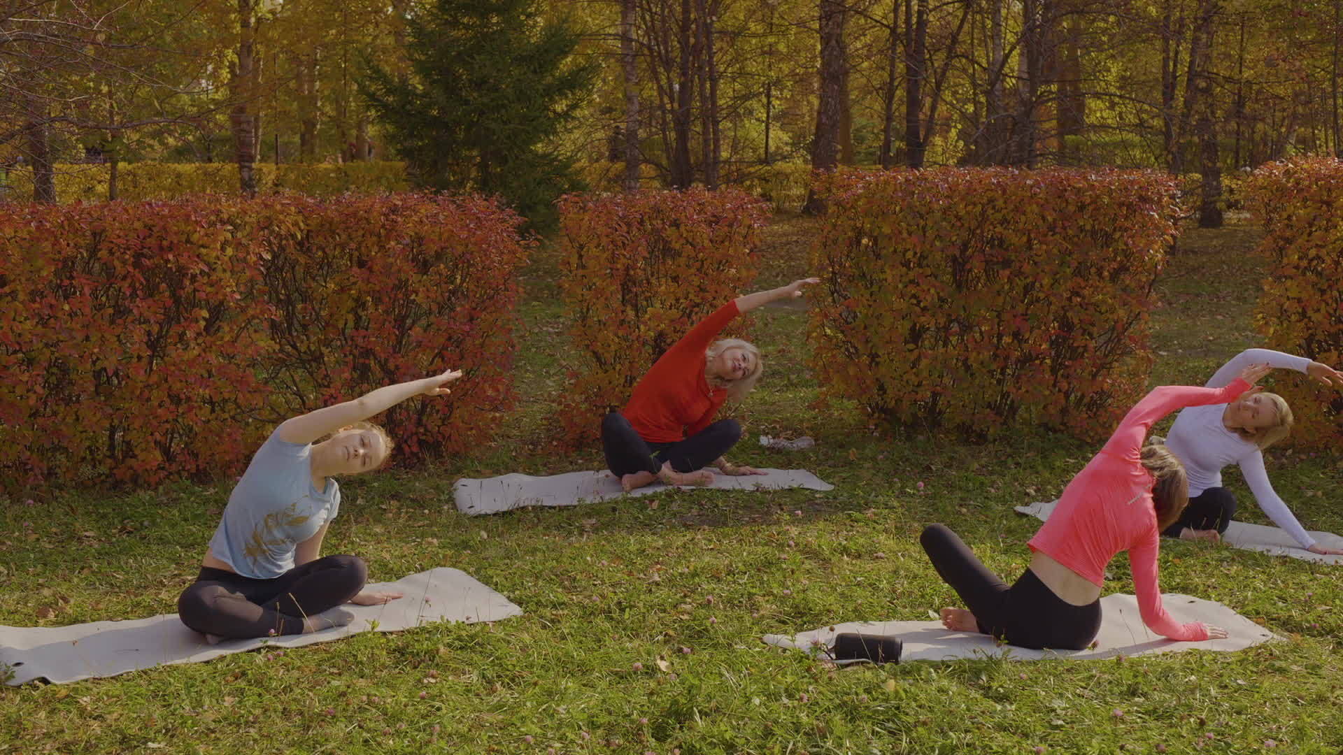 女性在公园里伸展和练习瑜伽视频的预览图