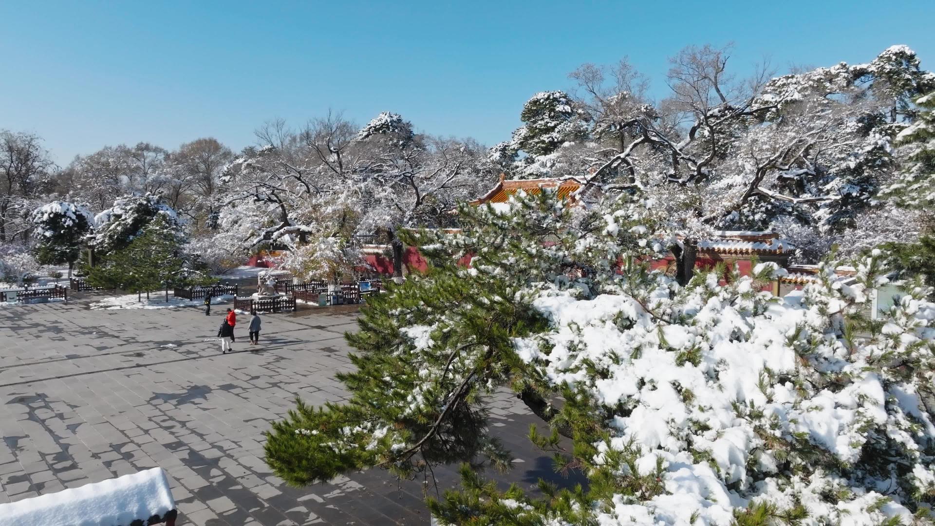 冬季沈阳东陵正门航拍清建筑视频的预览图
