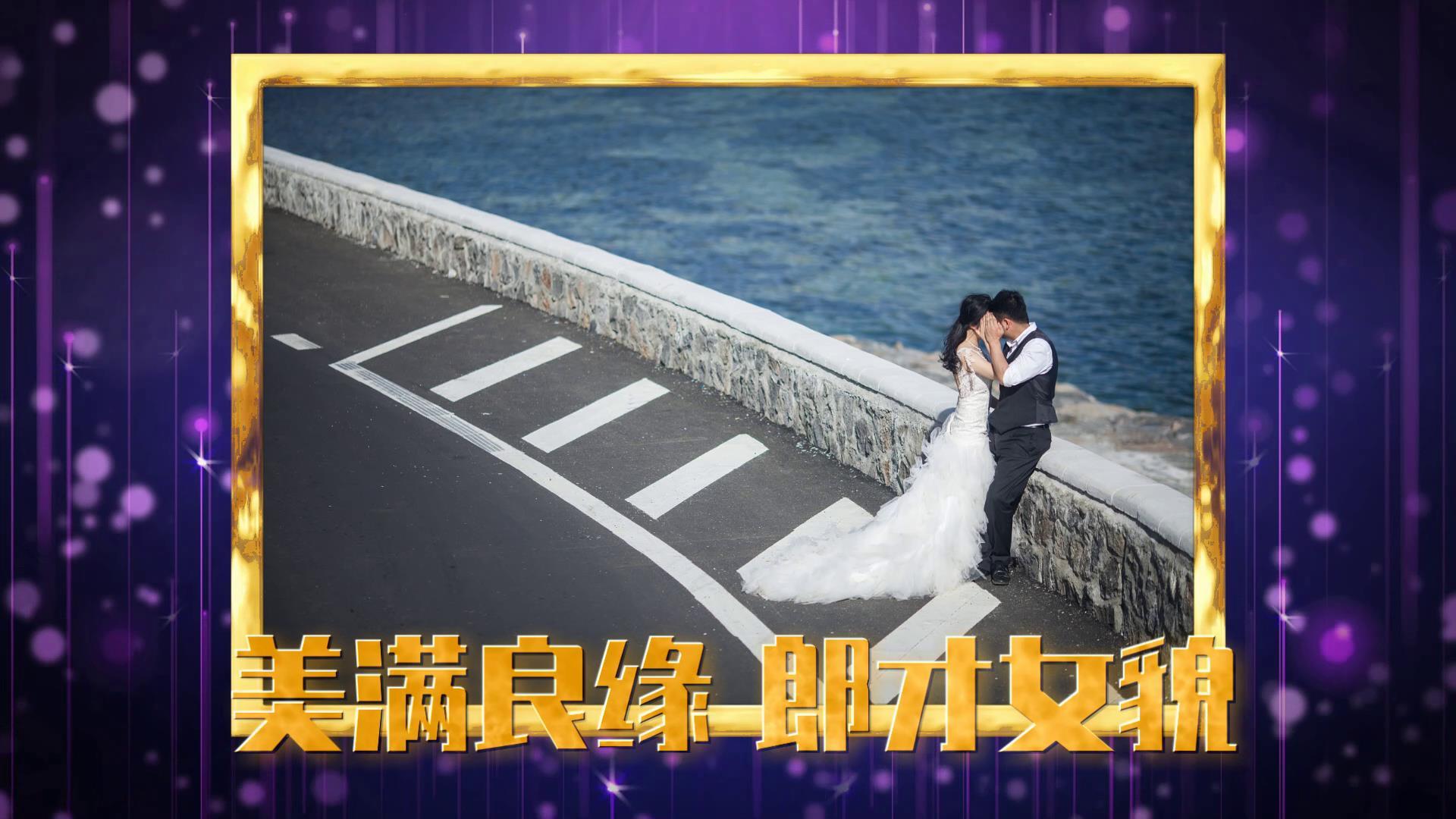 浪漫唯美绚丽紫色线条婚礼展示会声会影模板视频的预览图