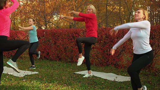 女性在秋季公园锻炼视频的预览图