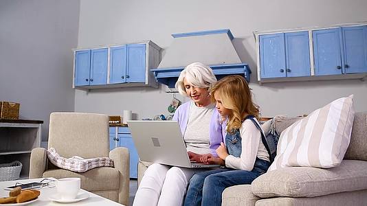 奶奶和小女孩用笔记本电脑视频的预览图
