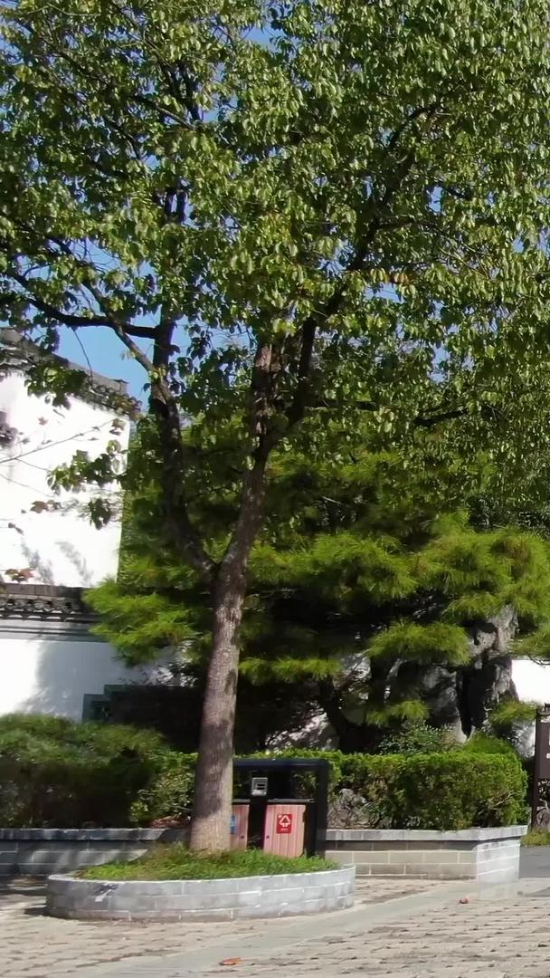 安徽5A级旅游景区鲍家花园视频集合视频的预览图