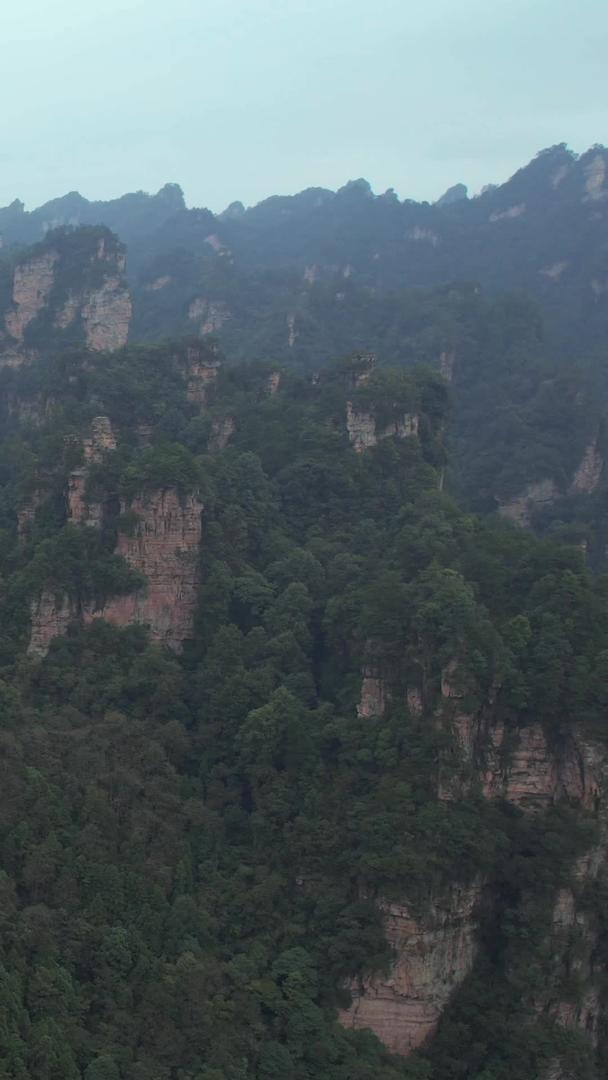 湖南5A级旅游景区武陵源国家森林公园袁家溪风光素材视频的预览图