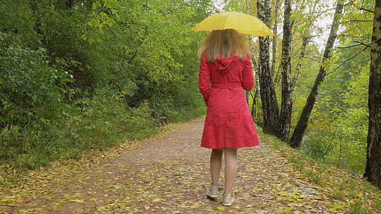 在雨天穿着红色斗篷和黄色雨伞的年轻苗条的女人正在走路视频的预览图