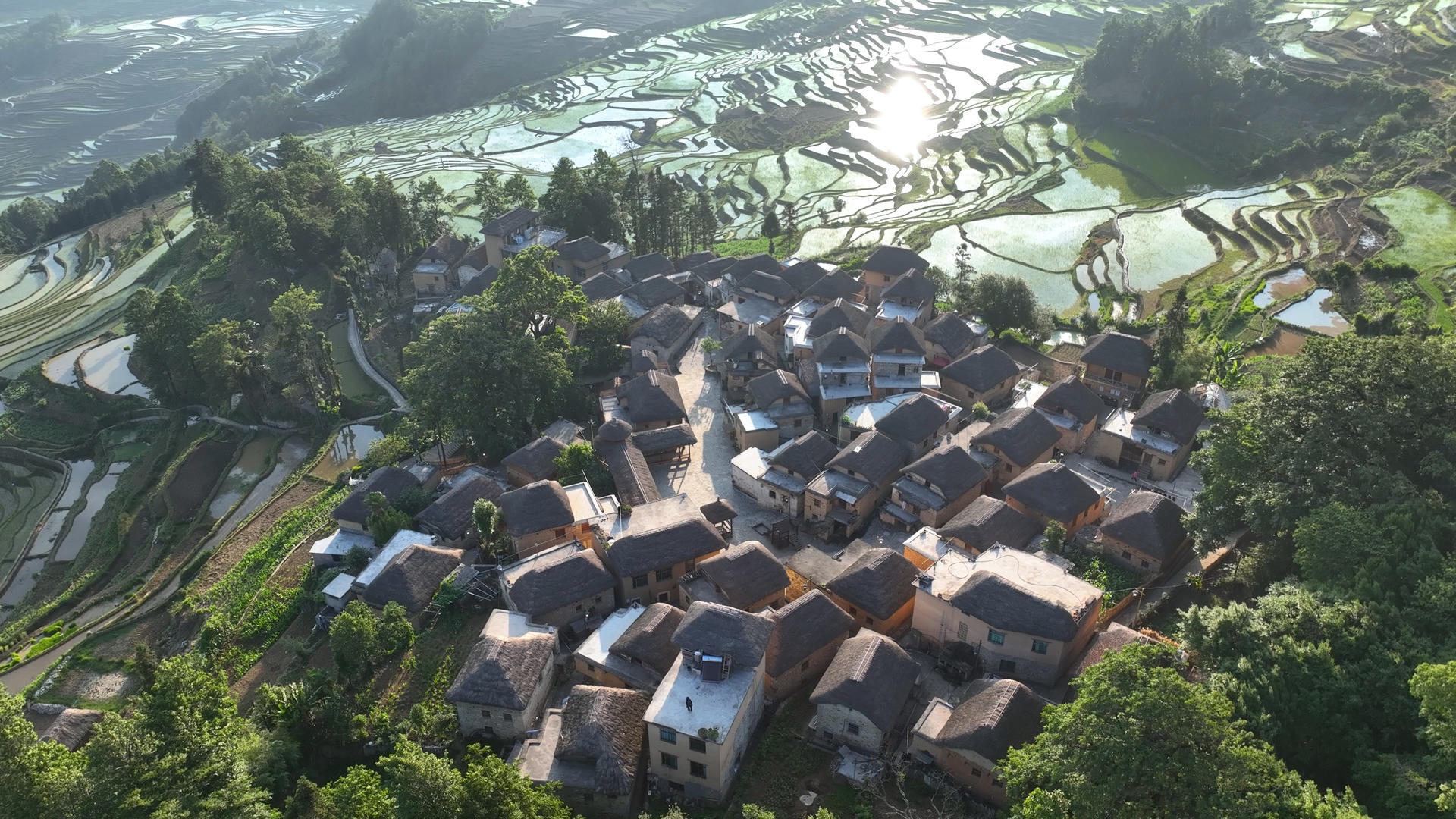 云南旅游元阳哈尼族阿者科古村落梯田园风景4k素材视频的预览图