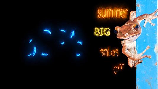 夏季销售额为每期80美元具有动物背景的文字效果视频的预览图