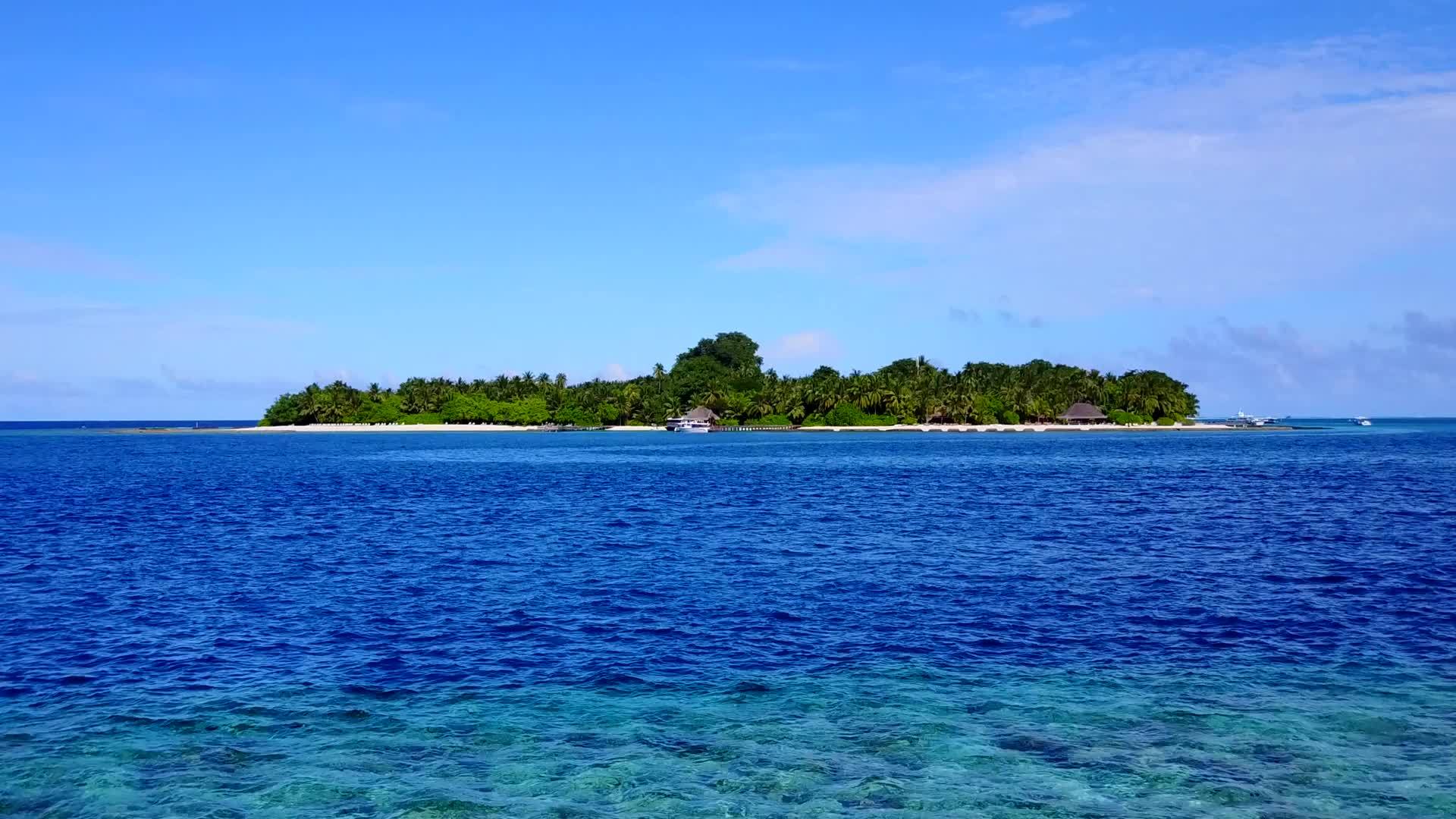 完美的岛屿海滩野生海滩以海滩附近浅沙背景的水蓝海为生视频的预览图