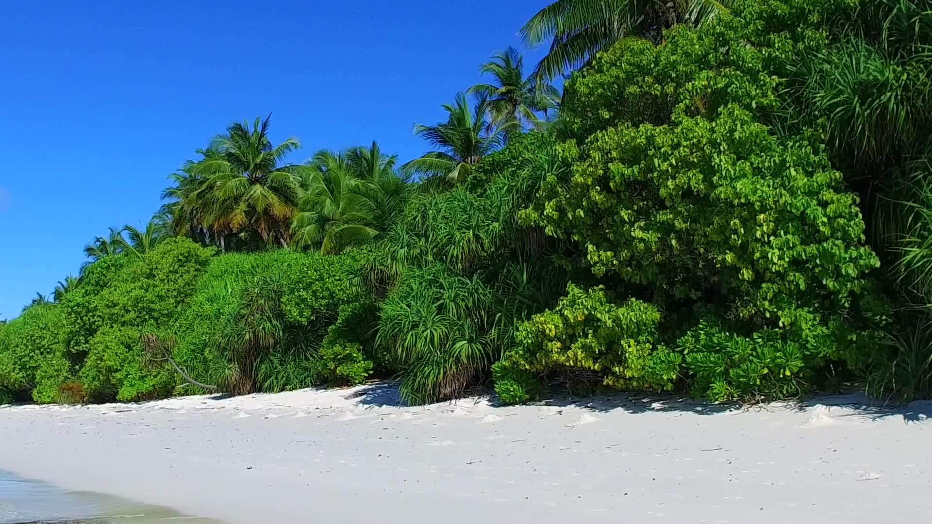 白沙底浅海海滩时间视频的预览图