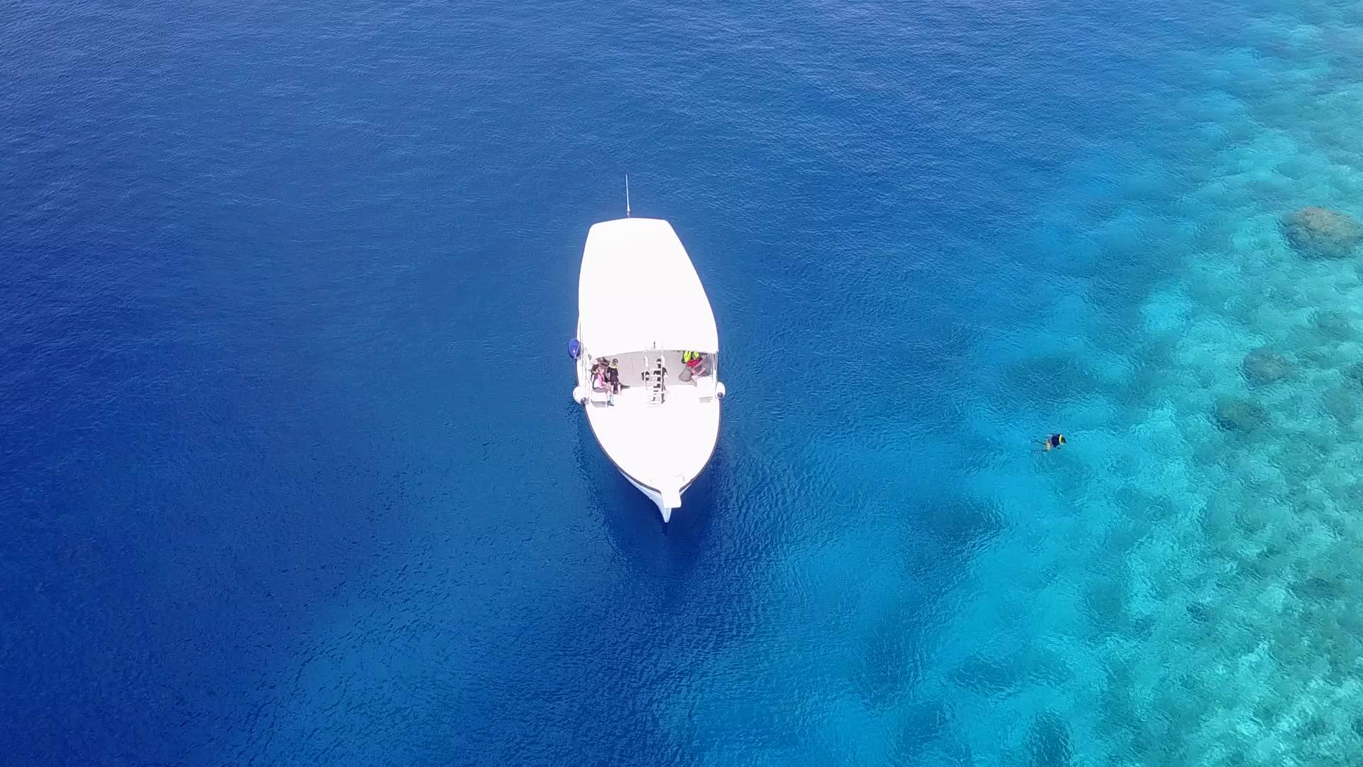 蓝绿色的海洋和棕榈树附近的白色海滩以美丽的海滩为背景视频的预览图