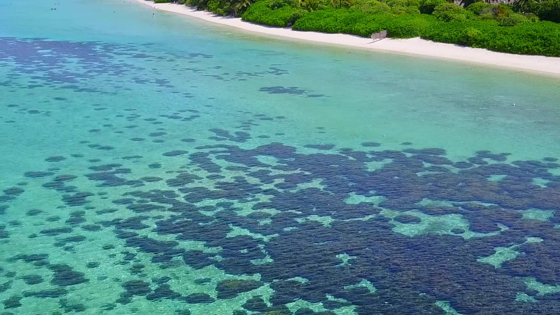 阳光明媚的海岸海滩冒险在沙巴附近有一个白色的沙子背景视频的预览图