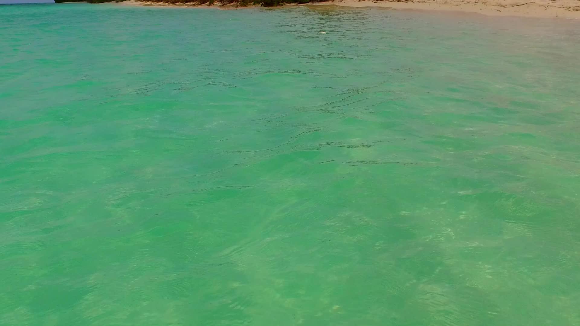 蓝色环礁湖和阳光下浅沙背景下的宁静岛屿海滩生活方式视频的预览图