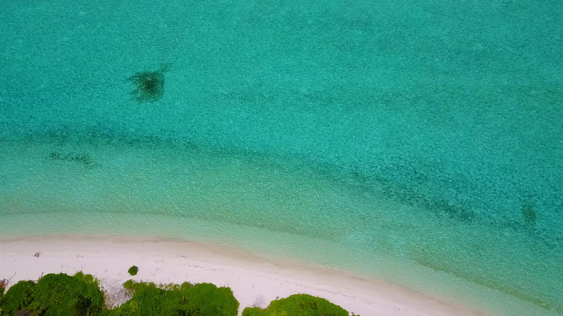 海边的白沙背景是透明的水是阳光旅游海滩野生动物视频的预览图