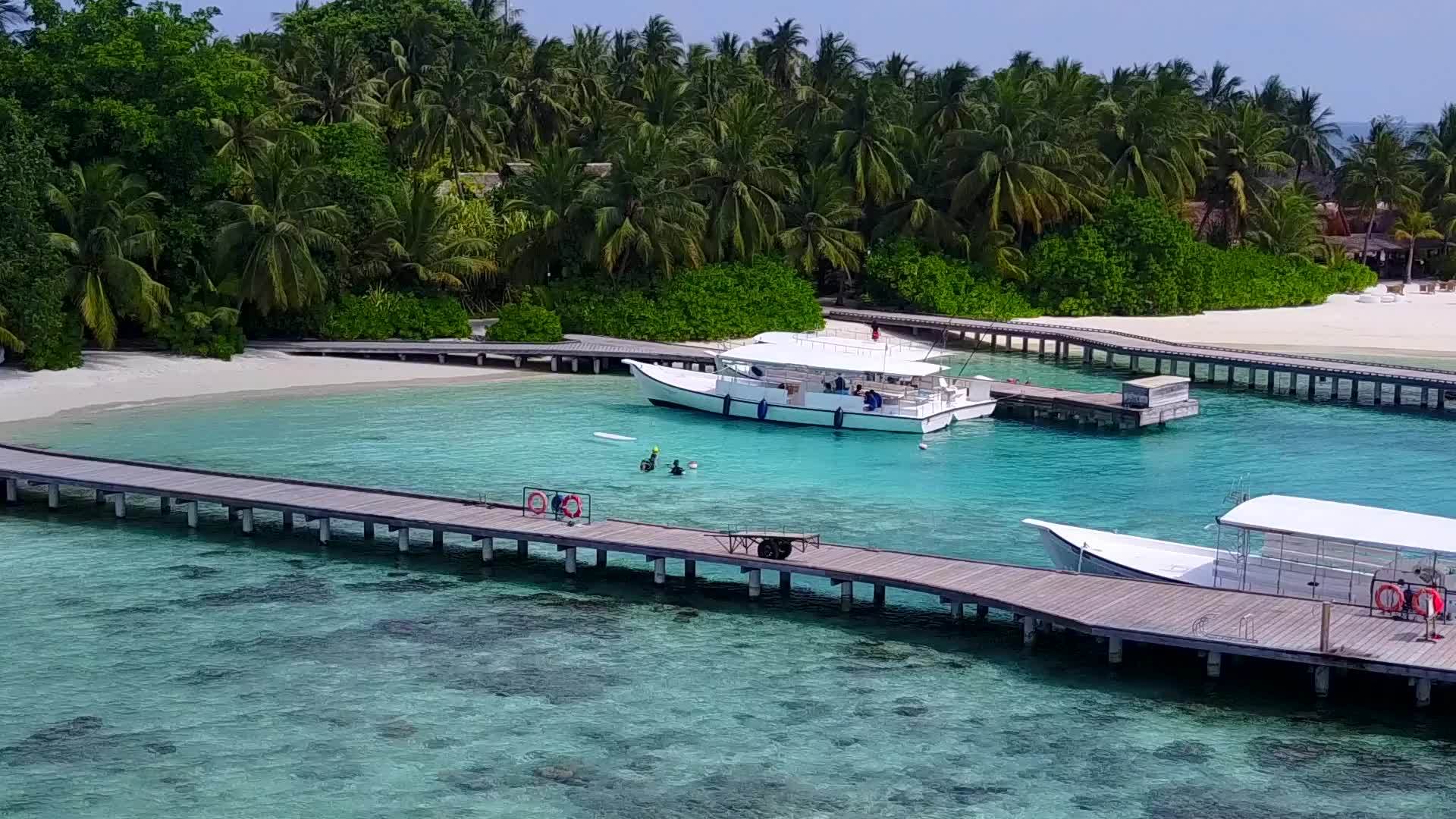 在浅环礁湖的棕榈树附近有一个干净的沙滩背景海滩被打破了视频的预览图
