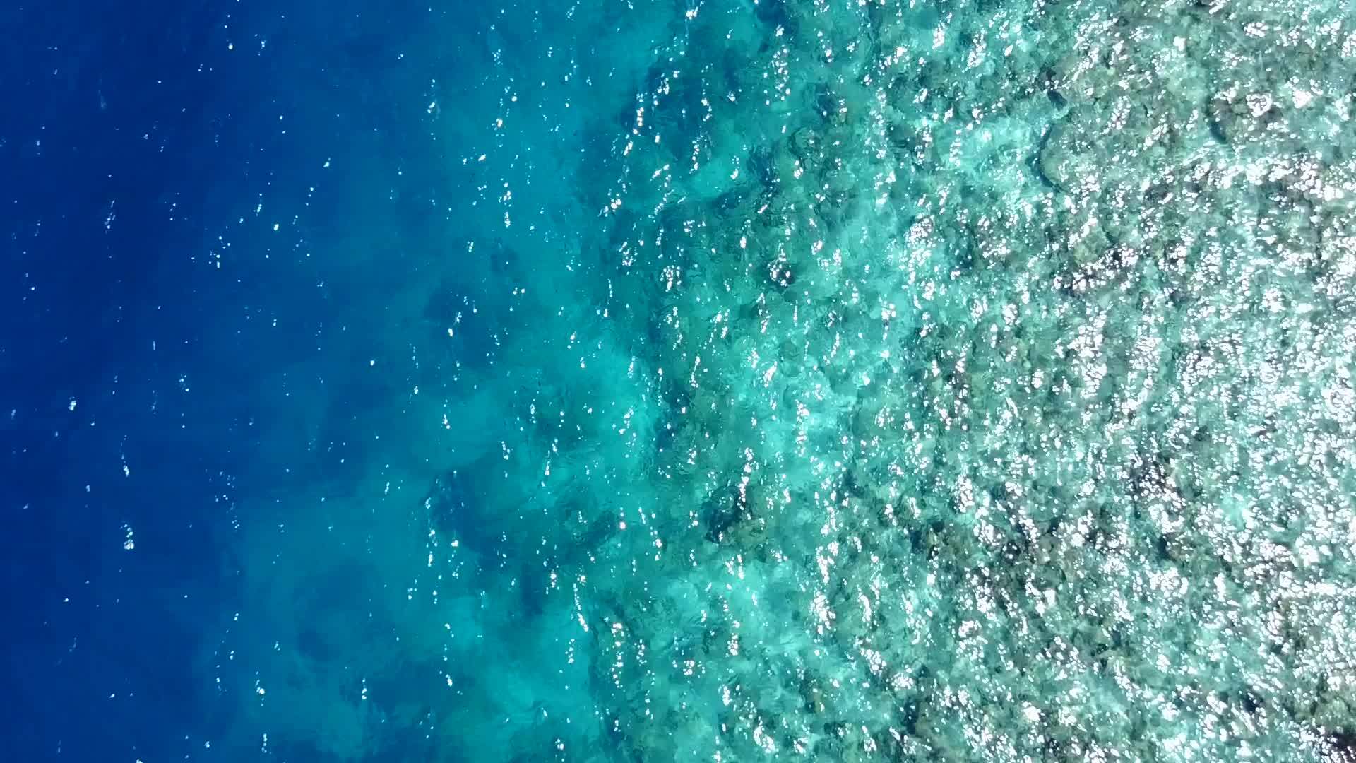 海浪附近的蓝海和白沙背景下的浅海野生动物阳光明媚的海岸视频的预览图