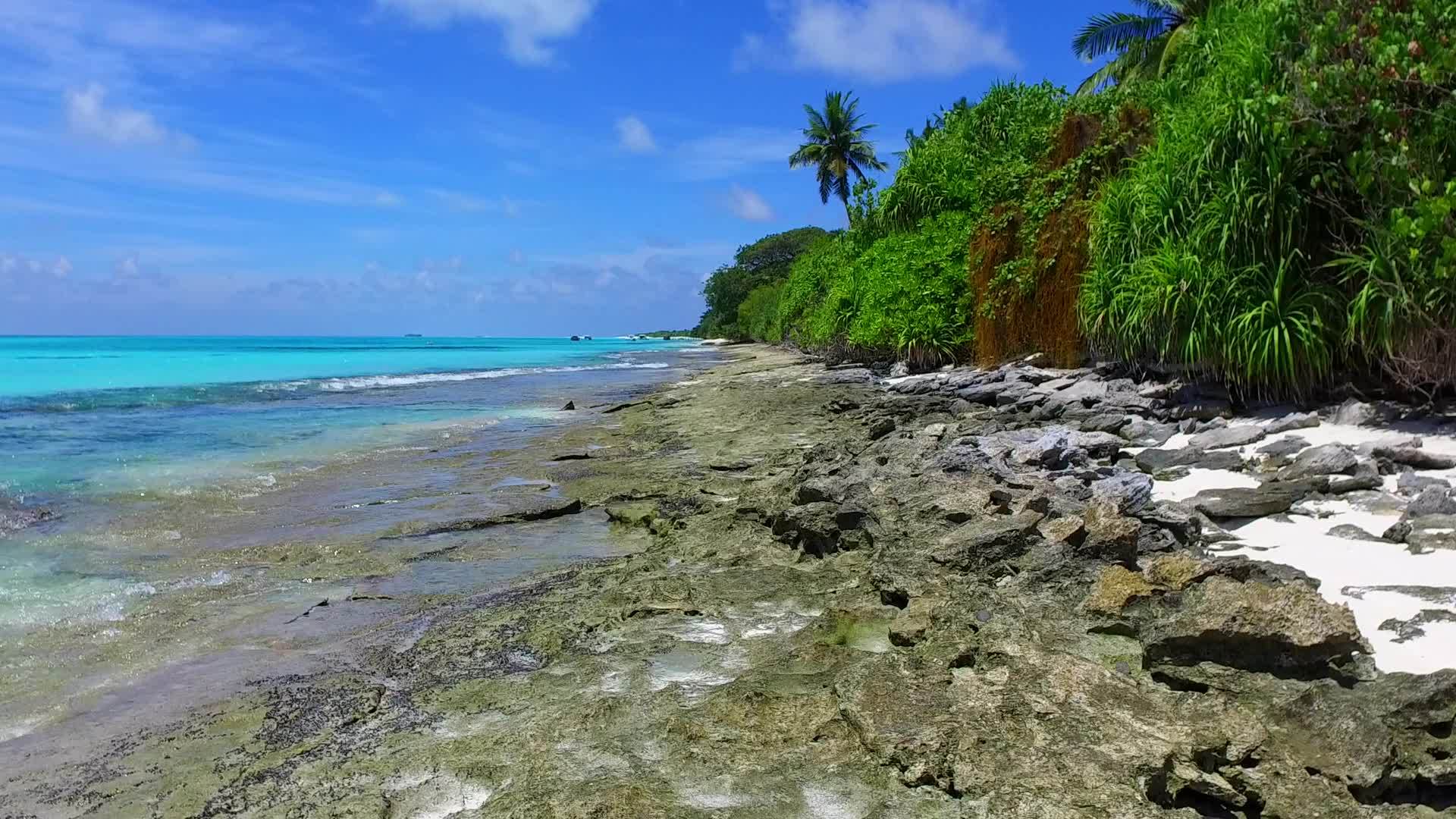 浅水和干净的沙滩背景视频的预览图
