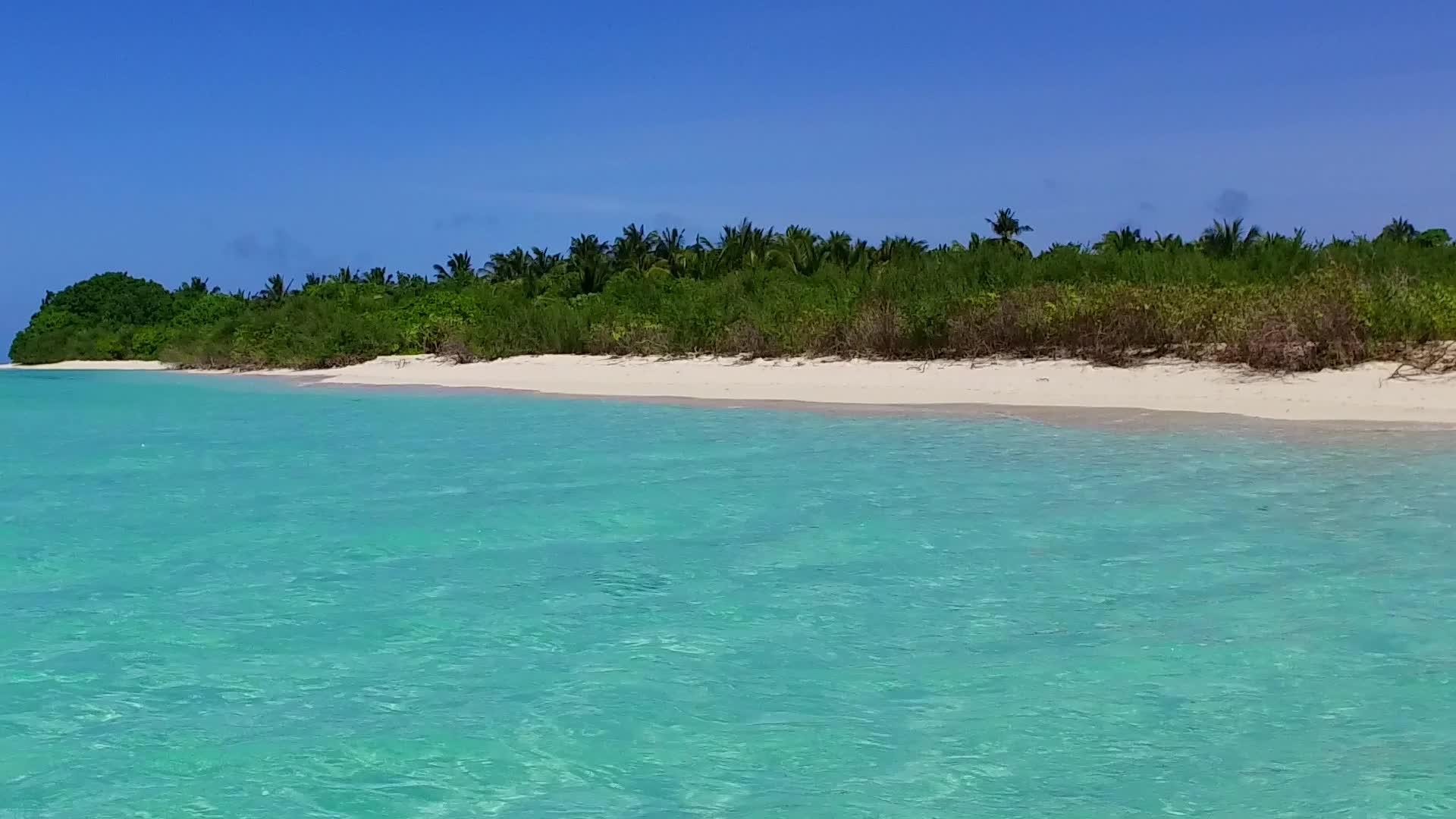夏季海洋海岸海滩度假区由松绿环礁湖和度假胜地附近组成视频的预览图