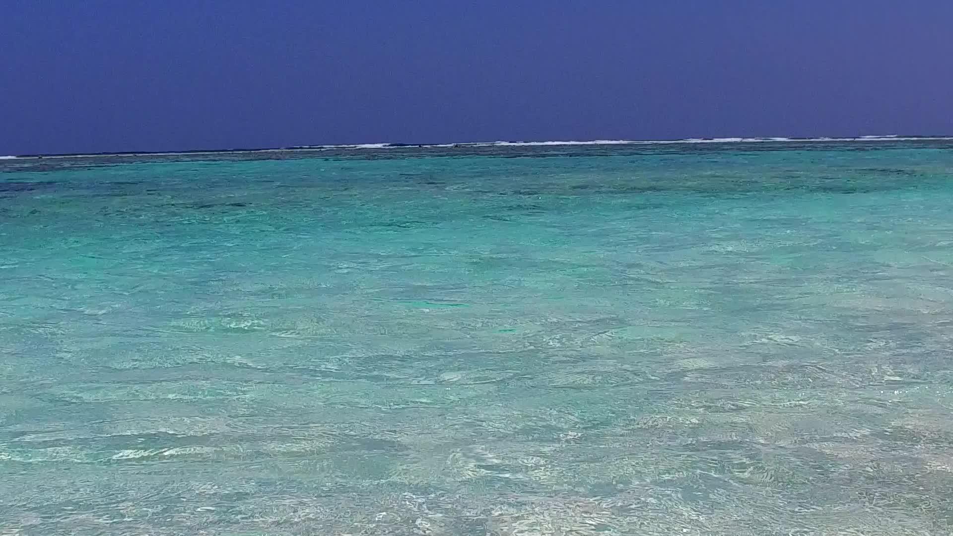 平静的海滩从棕榈树附近的绿水和白色海滩的背景航行视频的预览图