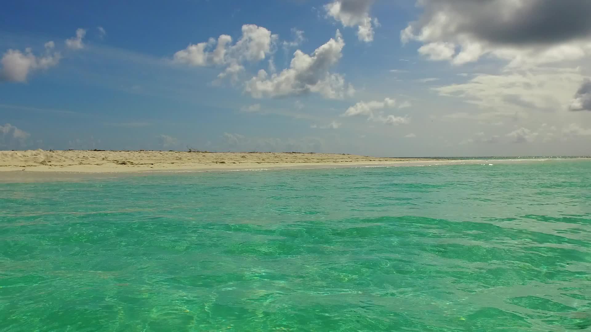 天堂海岸的海滩野生动物在白天的浅海和珊瑚礁附近的白色视频的预览图