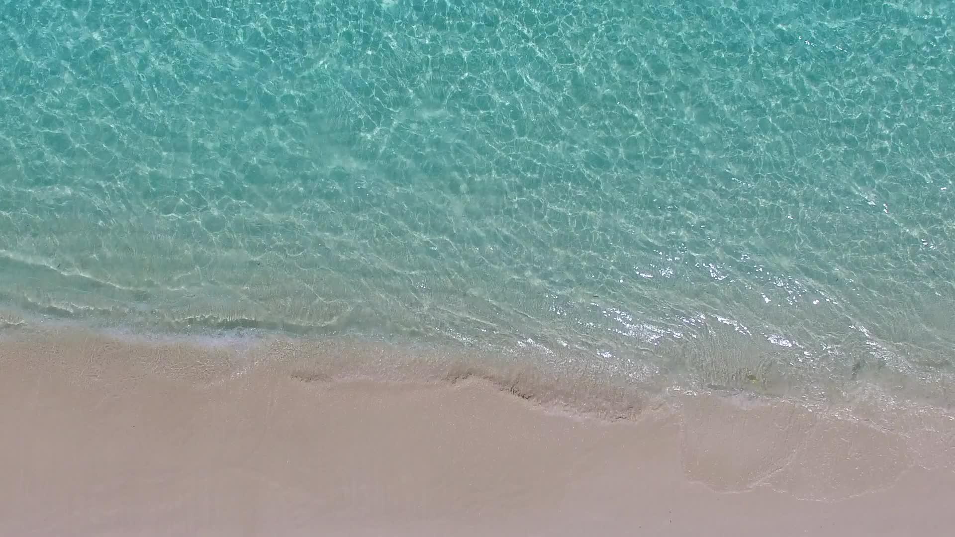 蓝色泻湖热带度假海滩野生动物靠近白沙背景的棕榈树视频的预览图