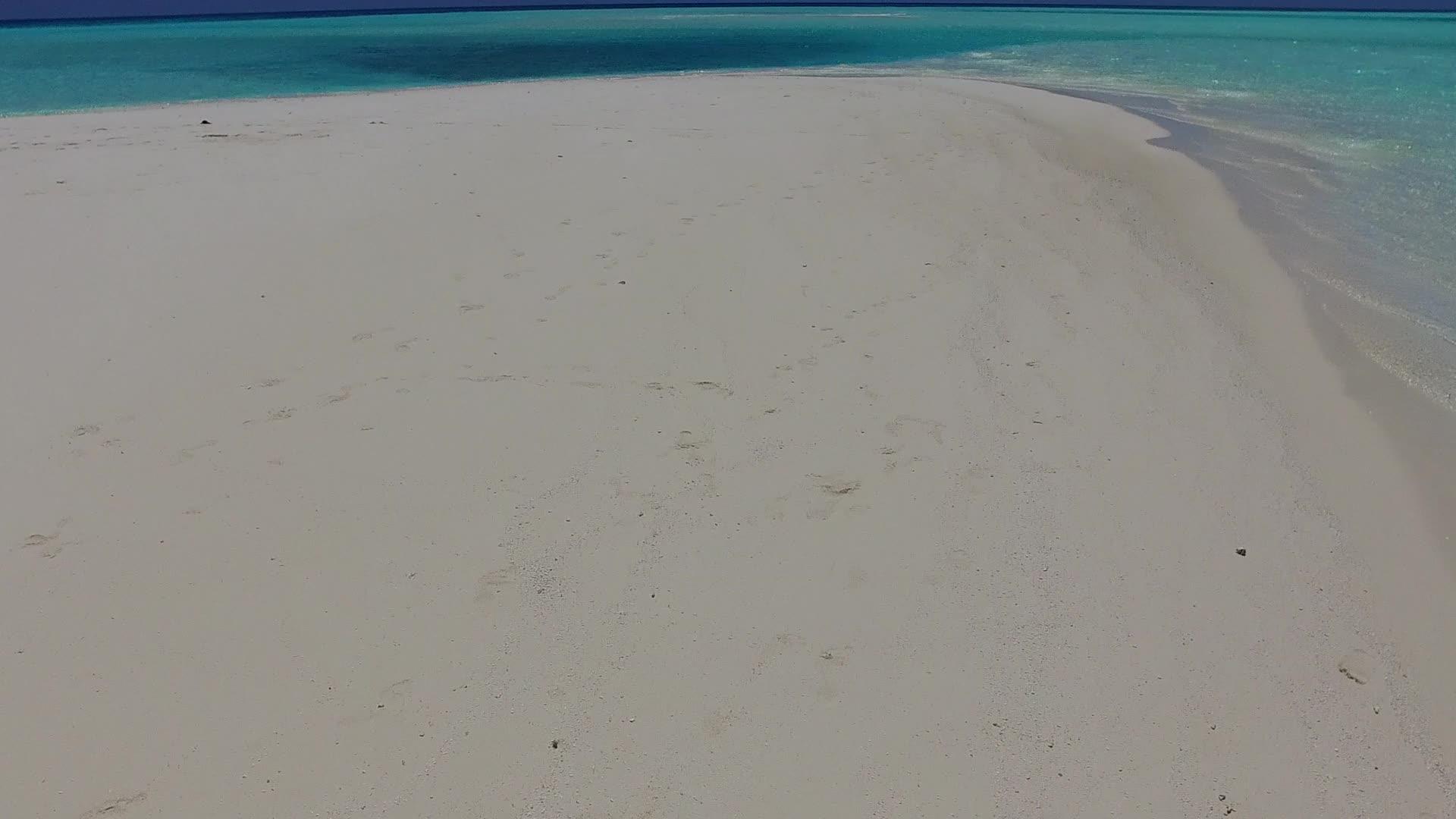 沙洲附近的白沙背景蓝海完美滩野生动物温暖旅游视频的预览图