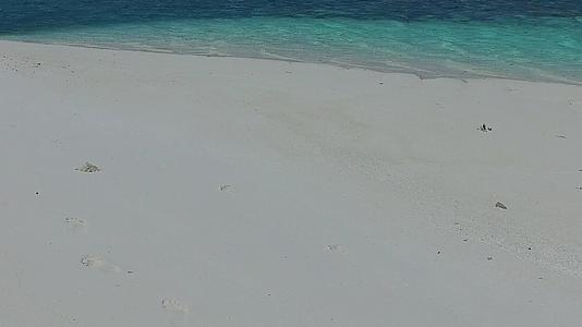 豪华海洋以海洋棕榈树附近的水、蓝水和白沙为背景视频的预览图