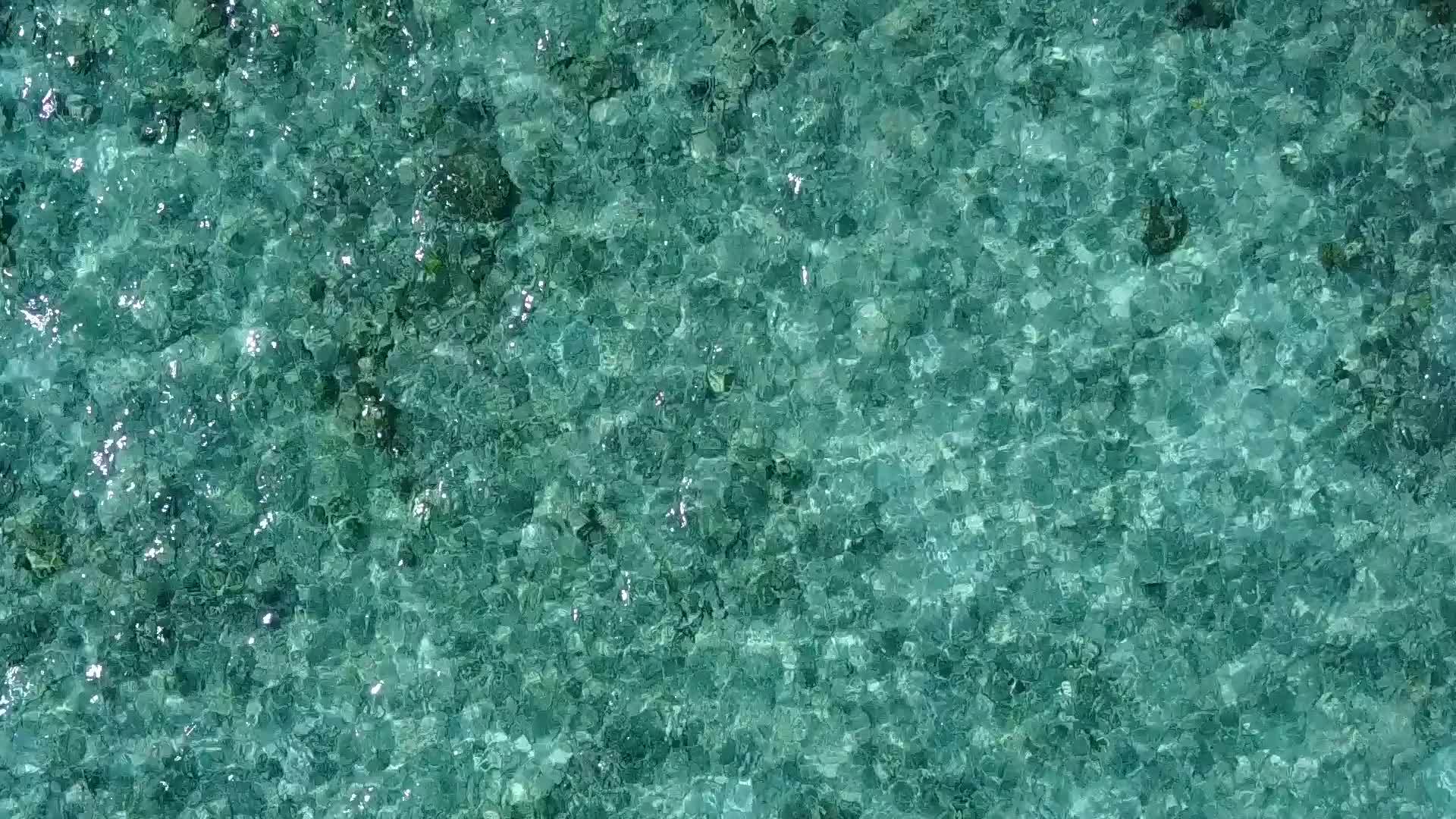以蓝水和沙巴附近的清洁海滩为背景的干净沙尘打破了完美视频的预览图