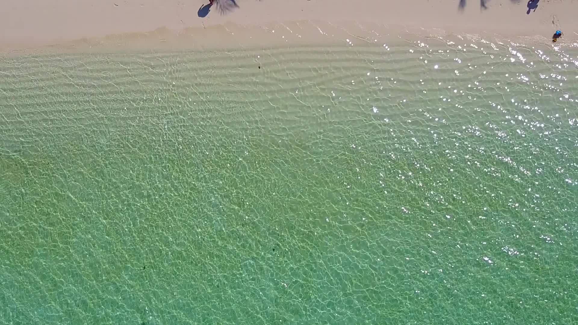 蓝水打破了热带海岸线视频的预览图