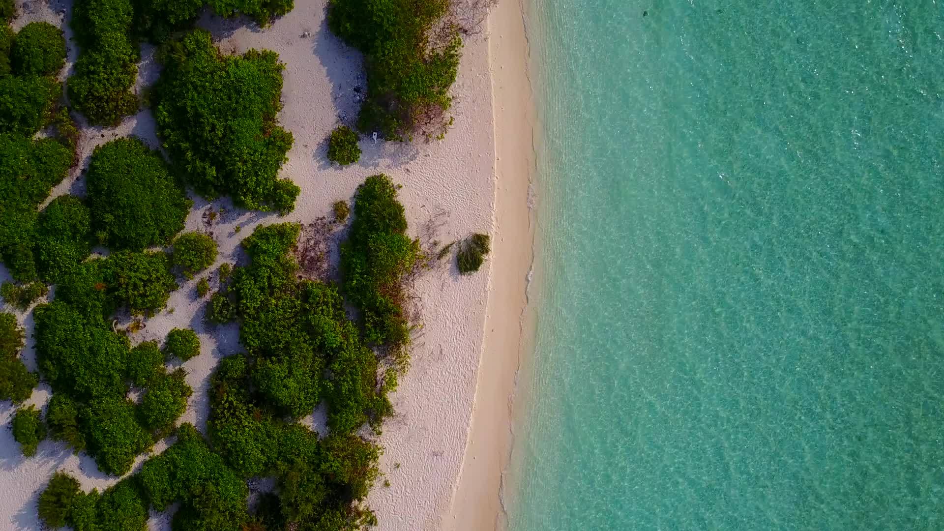 蓝海热带海滩夏季生活方式靠近冲浪的白沙背景视频的预览图