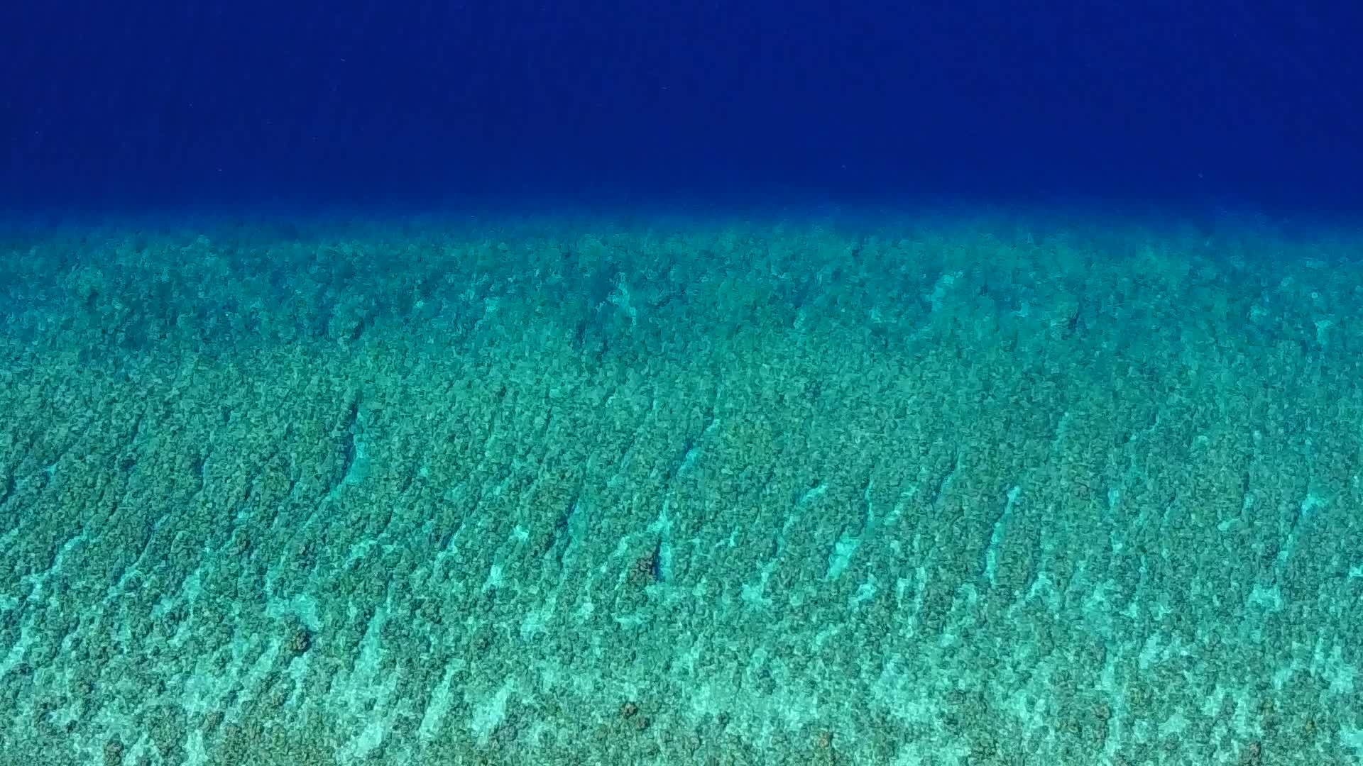 海平面和海浪附近的白沙背景使岛屿海滩时间松散视频的预览图